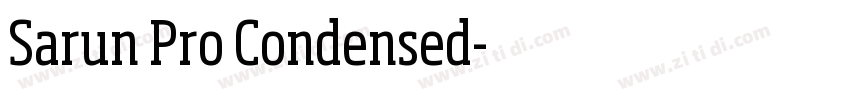 Sarun Pro Condensed字体转换